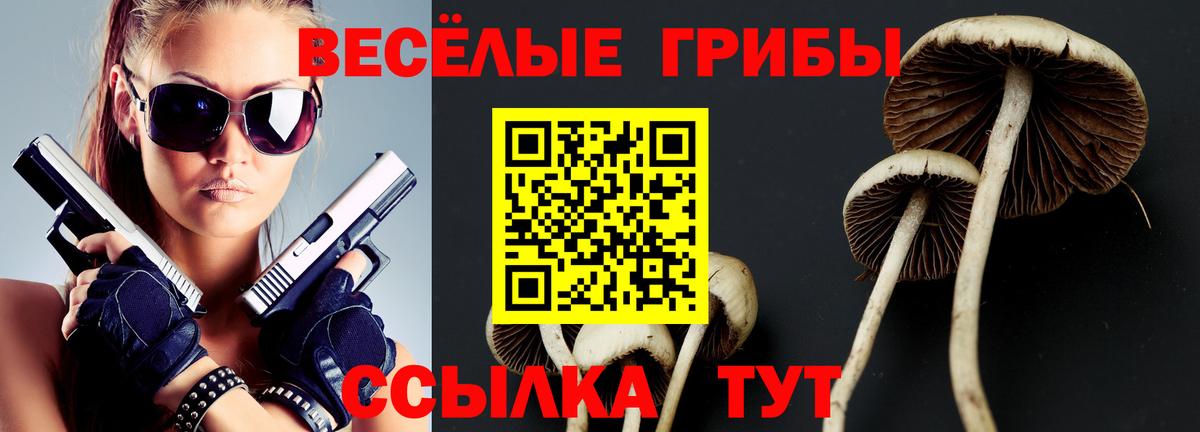 Галлюциногенные грибы мицелий  Вход с VPN  Кушва 